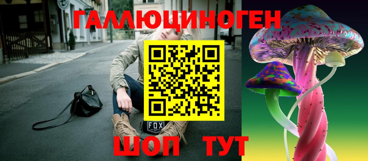 Псилоцибиновые грибы Psilocybe Кировск