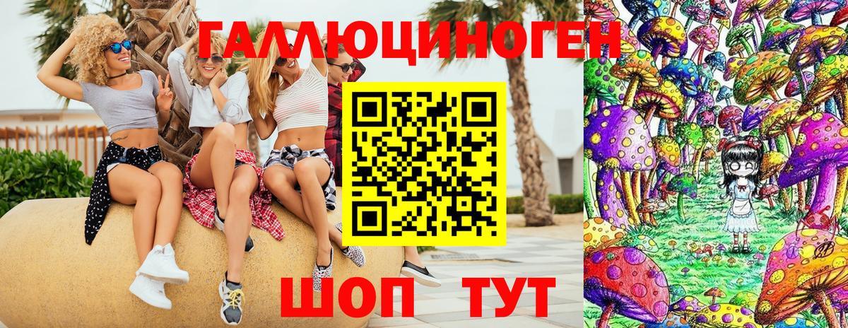 Кировск  хочу   Вход с VPN  Псилоцибиновые грибы Magic Shrooms 